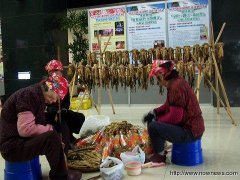 公馆客家福菜节传承集福农改场登场