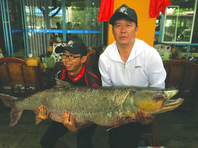 父子钓起百斤鳡鱼：儿子手僵爸爸接力 鳡鱼凶猛吃黑鱼