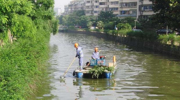 环卫工如厕扣千元 泰州环卫处：因玩忽职守